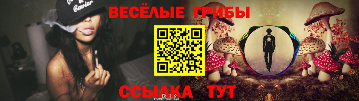 купить наркоту  Вход с VPN  Галлюциногенные грибы GOLDEN TEACHER  Дзержинск  Псилоцибиновые грибы Magic Shrooms 